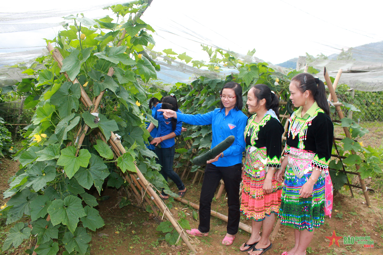 Những người “thắp lửa” nơi biên cương

